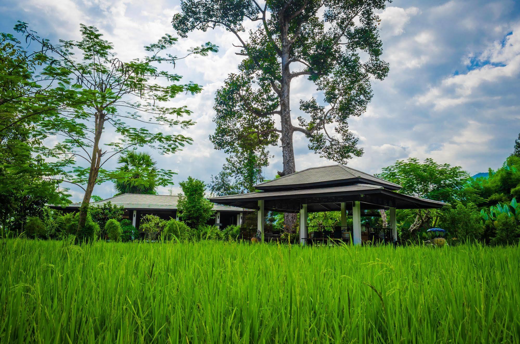 The River Resort Champasak Esterno foto